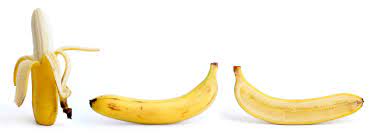 Banana Simple English Wikipedia The Free Encyclopedia