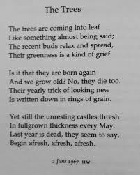 Ciaran Quinn On Twitter Bob Dylan Quotes Philip Larkin Words