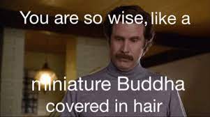 Anchorman Ron Burgundy Gif Anchorman Ronburgundy Miniaturebuddha Discover Share Gifs Ron Burgundy Gif Ron Burgundy Anchorman