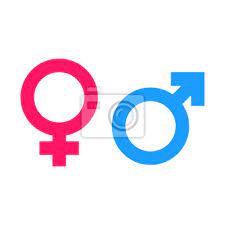 Geschlecht Gleichzeichen Vektor Symbol Manner Und Frauen Gleich Fototapete Fototapeten Feminismus Gleich Mehrfarben Myloview De