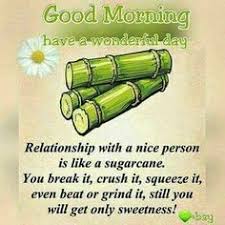 Pin By Kalpana On Good Morning Good Morning Quotes Inspirational Good Morning Messages Good Morning Texts