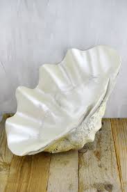 Check spelling or type a new query. 7 Marvelous Diy Ideas Coastal Bar Benjamin Moore Coastal Contemporary Window Coastal Furniture Mood Boards Moder Save On Crafts Giant Clam Shell Coastal Style