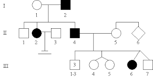 A family tree is a diagram representing family lineage or genealogical data in several formats. Drawing Family Tree Genetics Pic Biology Hypertextbook Freeringtoneformotorolacellphones