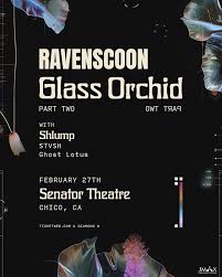 The Senator Theatre Chico, CA