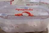 Spagnola Gelato