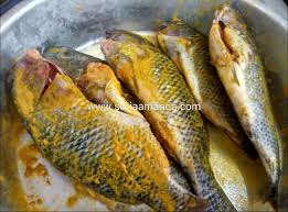 Resepi ikan talapia masak masam manis sedap mudah dan simple mp3 duration 3:11 size 7.29 mb / hamizah kitchen 7. Resepi Ikan Talapia Goreng Berlada