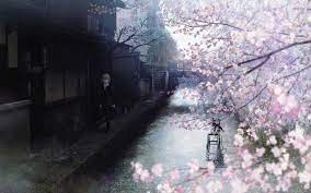 1920x1200 Wallpaper Wiki Hq Anime Cherry Blossom Pic Wpc004906 Anime Cherry Blossom Cherry Blossom Wallpaper Cherry Blossom