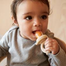 Miranda food feeder 2-pack