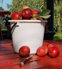 Explore our huge selection today! Grow Your Own Boom Bears Fruit At Homebase