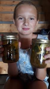 Canned plum crazy hooch and jam recipes