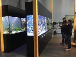 Strona Glowna Argus Aquarium Design Garden