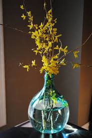 Going To Go Pick Some Forsythia For My House They Re Exploding In Blooms Everywhere Spring Decor Spring Diy Projects Yellow Decor