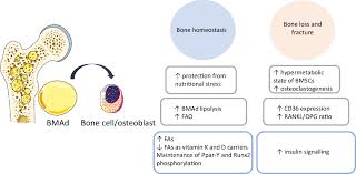 Image result for Beige 1977 Caloric