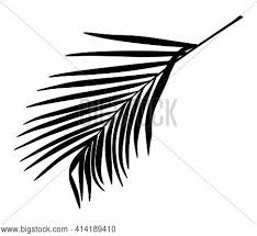 What are the things you need to avoid on aip (and why) it certainly can be discouraging to see a list of foods on the autoimmune protocol and want to cry. Palm Tree Leaf Black Vector Photo Free Trial Bigstock