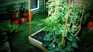 Jardin Potager Bio Petite Surface Youtube