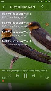 Suara Panggil Burung Walet Mp3 For Android Apk Download