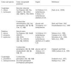 Image result for Cryptolepis hypoglauca