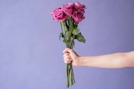 Check spelling or type a new query. Valentine S Day Gifts How To Give Flowers Sustainably Huffpost Canada Life
