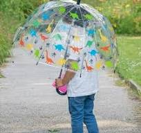 Childrens See through Clear Dome Umbrellas | Brolliesgalore