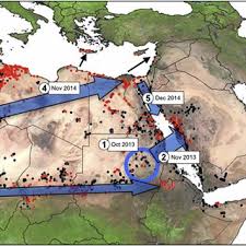 1,806 likes · 12 talking about this. Pdf Desert Locust