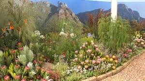 One of the easiest ways to ensure that you catch the flowers in bloom is to hire a car and drive the length of the cape flower route. The 10 Best Flower Shows In South Africa 2016 Pro Landscaper