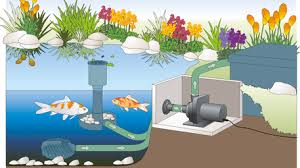 Check spelling or type a new query. Creative Pumps Pond Help How To Install A Dry Mount Pump Creative Pumps