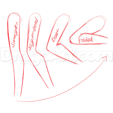 Pin By Human Anatomy For Artist On Art How To Guided Drawing Drawing Tutorial Anime Drawings Tutorials