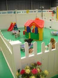 Dog Daycare Usa Google Search Dog Daycare Dog Search Indoor Dog Park
