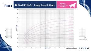 Overweight and underweight dogs 5. Waltham Puppy Growth Charts