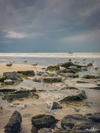 Entdeckt diese 10 highlights an der belgischen küste. Belgische Kuste Foto Bild Landschaft Meer Strand Urlaub Bilder Auf Fotocommunity