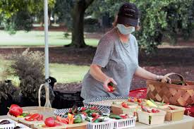 Charleston Farmers Market returns to Marion Square with limited vendors,  buyers