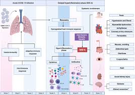 Image result for Multisystem Inflammatory Syndrome