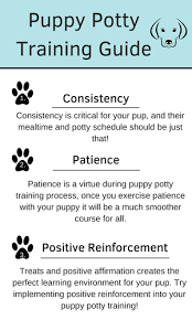Puppy Feeding And Potty Schedule Goldenacresdogs Com