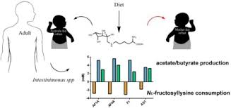 In fact, their very survival depends on it. Intestinimonas Like Bacteria Are Important Butyrate Producers That Utilize Ne Fructosyllysine And Lysine In Formula Fed Infants And Adults Sciencedirect