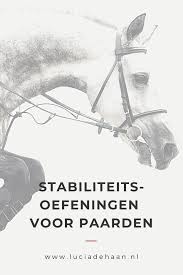 Meteen na de geboorte drinkt het veulen de eerste moedermelk of biest genoemd. Stabiliteitsoefeningen Voor Paarden