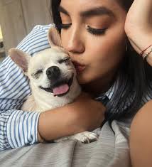 Hay algo en mi corazón que simplemente no puede confiar en las personas que  no aman a los perros. ¿Cómo es posible no querer compartir la vida con  ellos, cuando son los