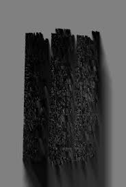 Image result for Aeschynomene stolzii