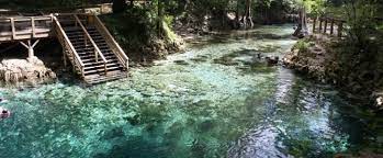 Find out information about madison blue springs state park. Spring Of Madison Blue Florida State Parks