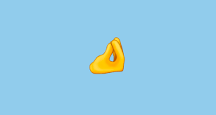 Pinched Fingers Emoji On Emojipedia 13 0
