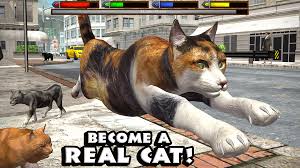 Ultimate Cat Simulator Ultimate Cat Simulator Cat Simulator Free Cats Cat Sim