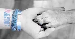 Coffee Canines and Camaraderie