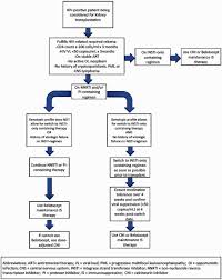 Image result for Integrase Strand Transfer Inhibitor
