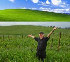 Declared The Most Viewed Photo Of All Time The Famous Windows Xp Wallpaper Was Taken Right Here In Sonoma County Photo Wallpaper Windows Xp Wallpaper