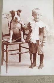 Chrome Motorcycle Turn Signal Light Blinker Bullet Amber Bulb Indicator Led Lamp Ebay Dogs And Kids Vintage Dog Nanny Dog