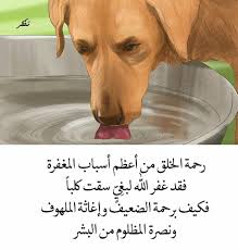 pin by amal on teaching islam facts words quotes quotations