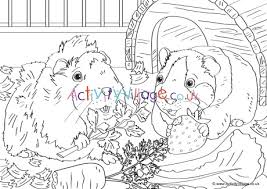 Guinea pig loves to eat grass. Guinea Pig Scene Colouring Page