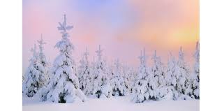 Winterbilder kostenlos, landschaftsbilder gratis downloaden. 34 Schicke Winter Wallpaper Gratis Von Microsoft Pc Welt