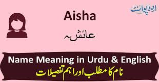 Difficult or impossible to read: Illegible Meaning In Urdu