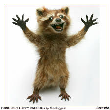 Where S Rory Raccoon Google Search Furiously Happy Photo Sculpture Photo Cutout