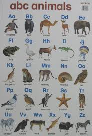 These five foods that begin with the letter x will finish your list. Animal Charts Yellowbear